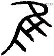 隹字金文源流