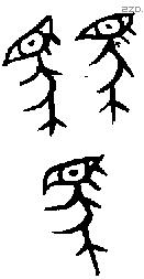 驫字金文源流