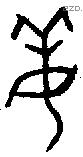 姜字金文源流