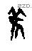 雚字甲骨文源流
