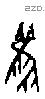 雚字甲骨文源流