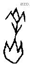 羔字甲骨文源流