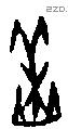 羔字甲骨文源流