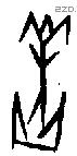 羔字甲骨文源流