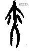 亦字甲骨文源流