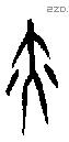亦字甲骨文源流