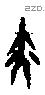 亦字甲骨文源流