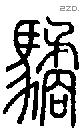 驈字说文字源