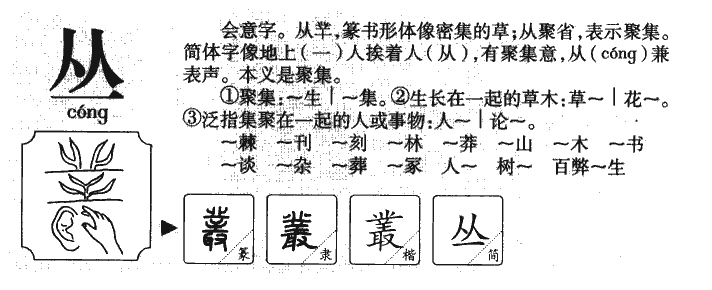 丛字字源字典