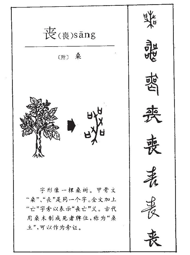 丧字字源字典