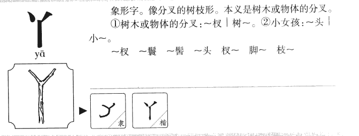 丫字字源字典