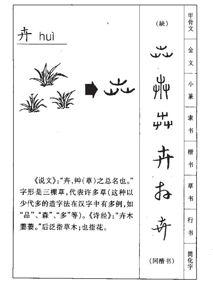 卉字字源字典