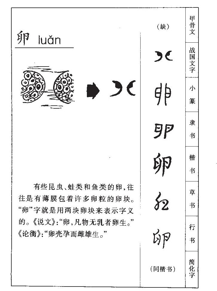 卵字字源字典