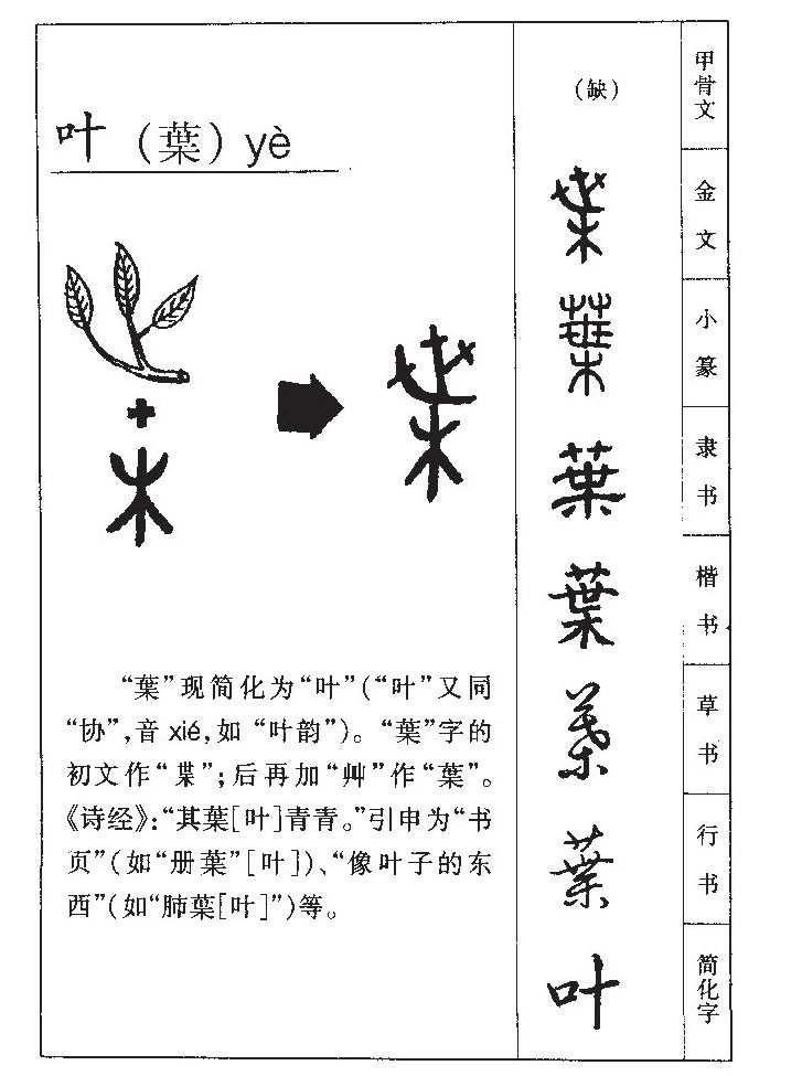 叶字字源字典