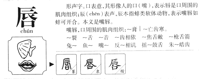 唇字字源字典