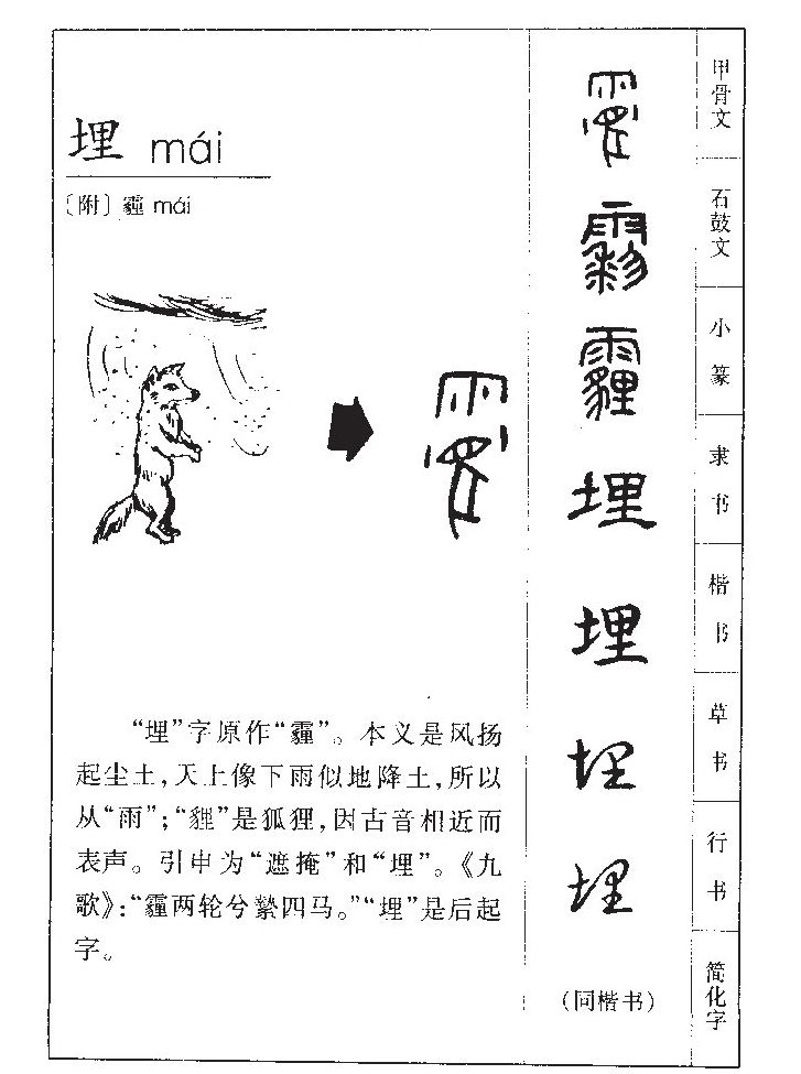 埋字字源字典