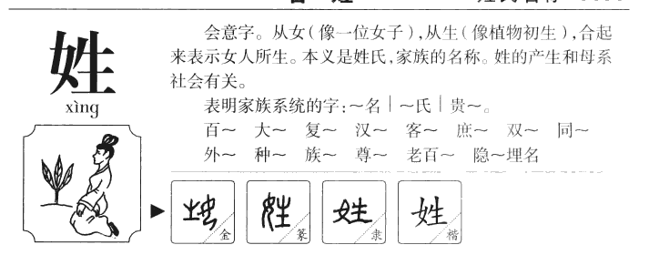 姓字字源字典