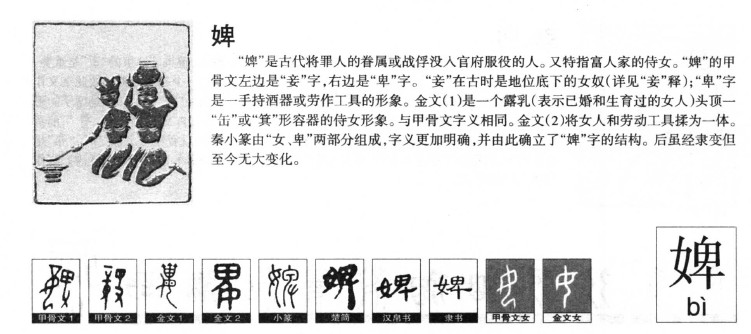 婢字字源字典