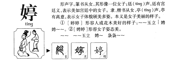 婷字字源字典