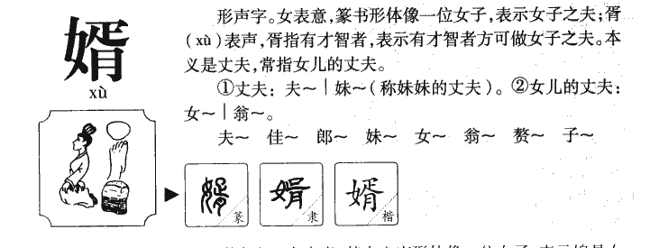 婿字字源字典