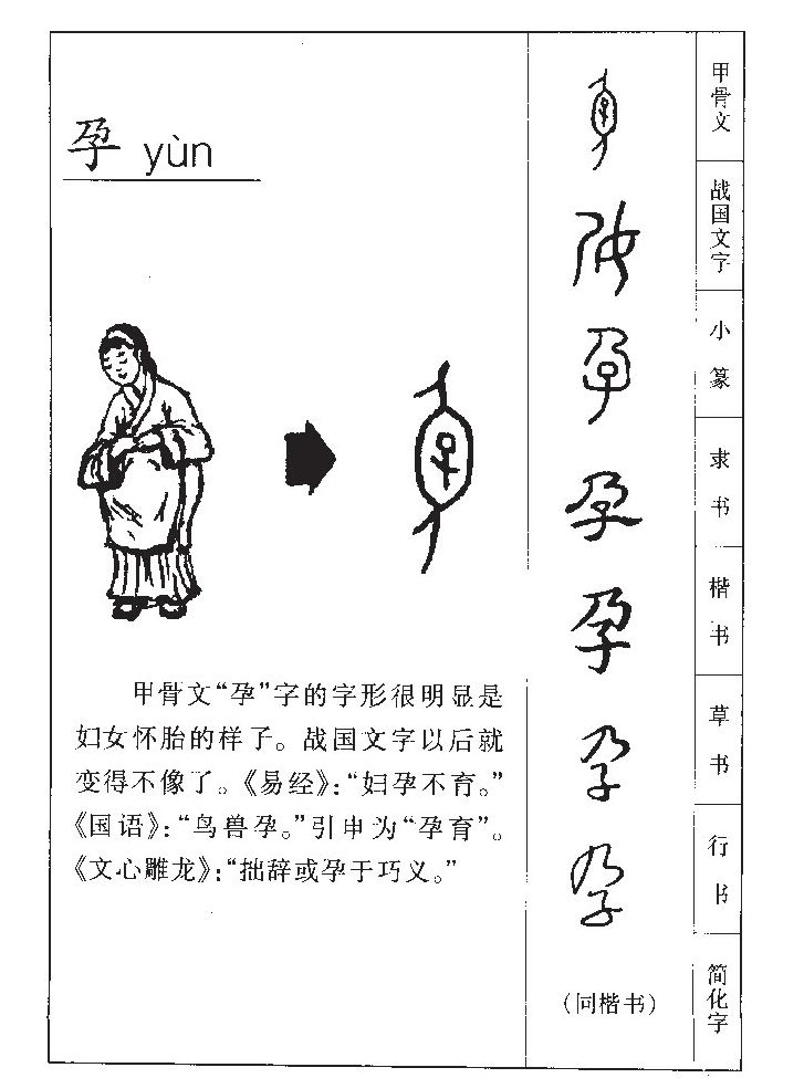 孕字字源字典