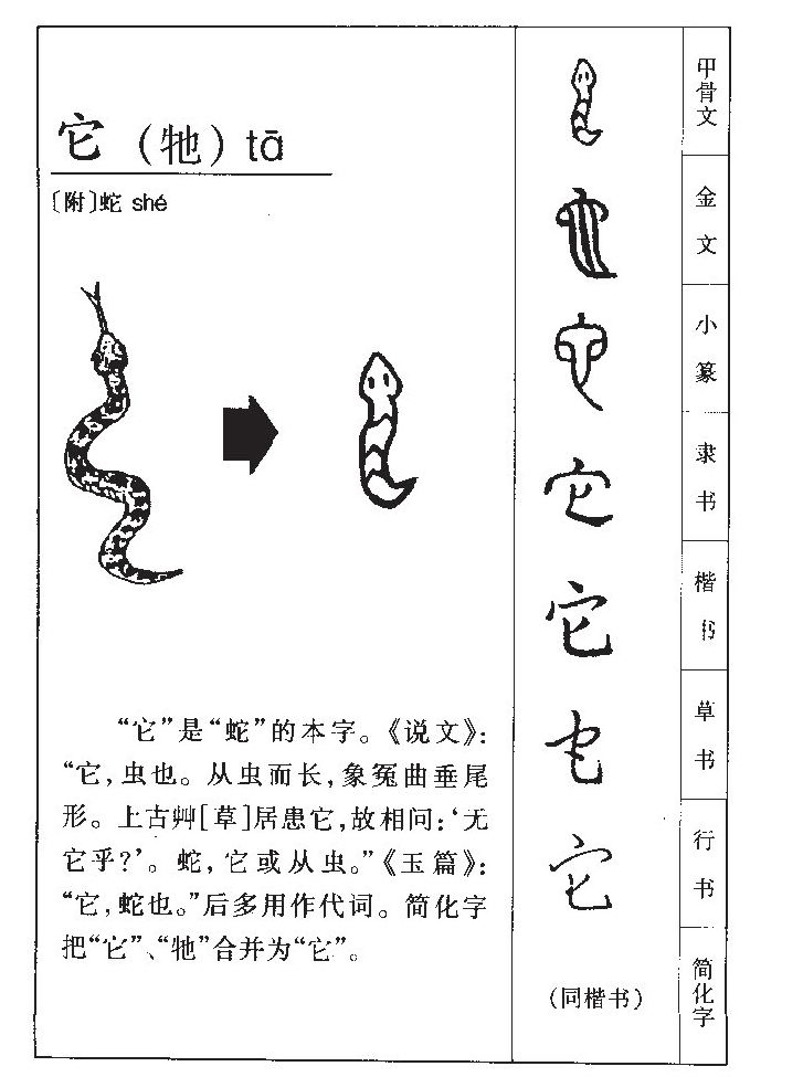 它字字源字典