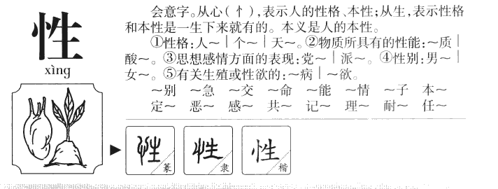 性字字源字典