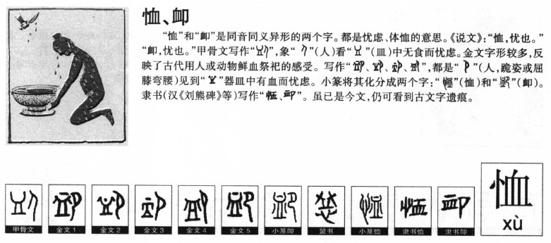 恤字字源字典