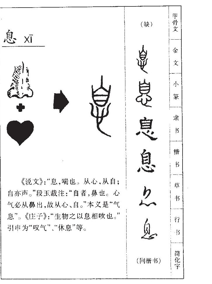 息字字源字典