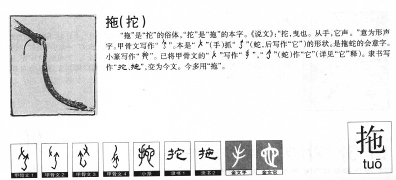 拖字字源字典