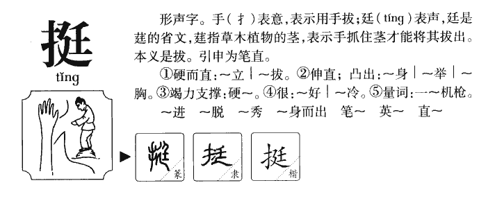 挺字字源字典