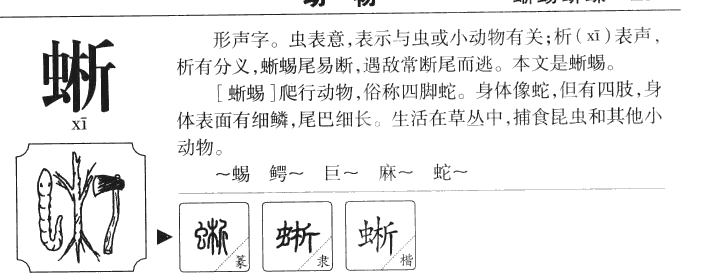 晰字字源字典