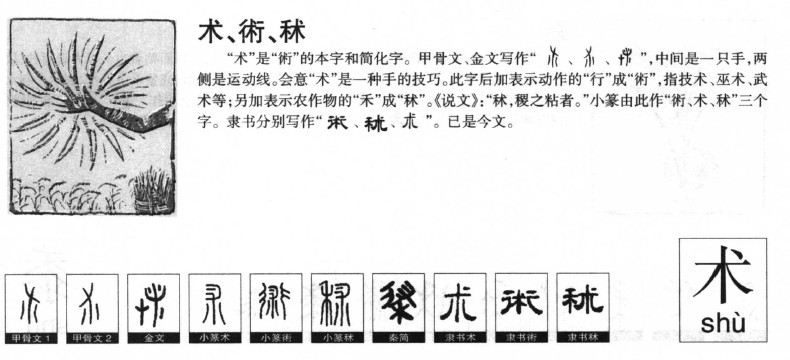 术字字源字典