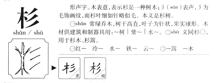 杉字字源字典