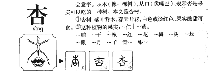 杏字字源字典