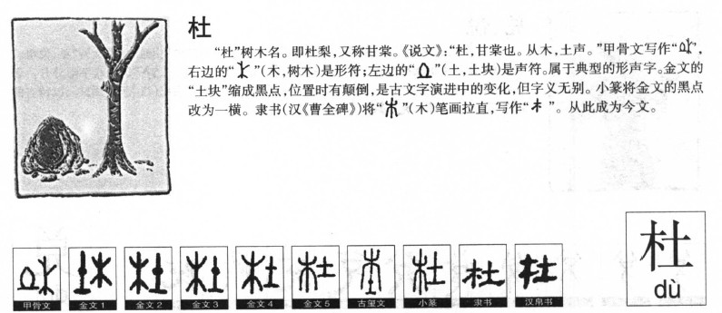 杜字字源字典