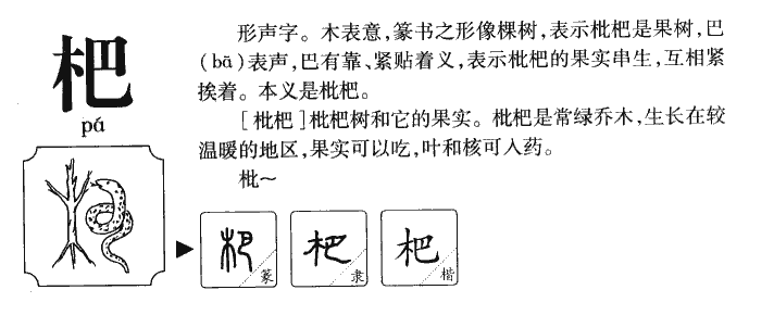 杷字字源字典