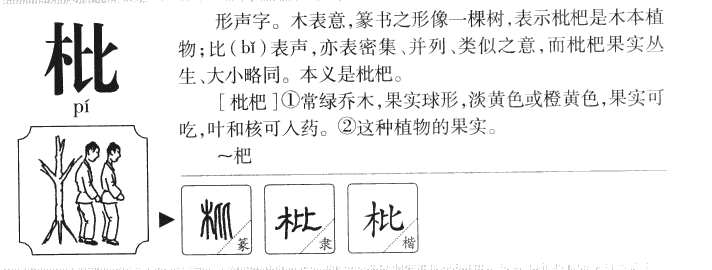 枇字字源字典