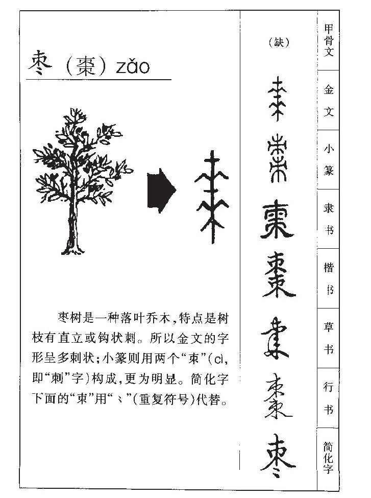 枣字字源字典