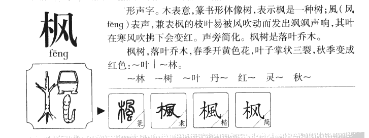 枫字字源字典