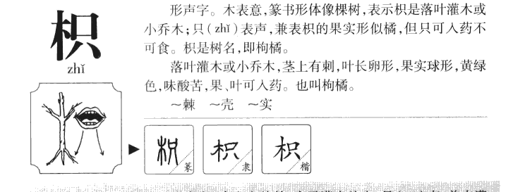 枳字字源字典