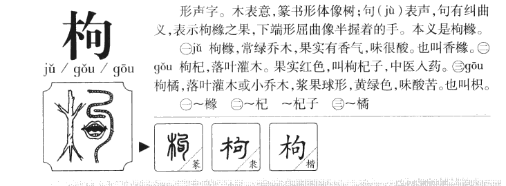 枸字字源字典