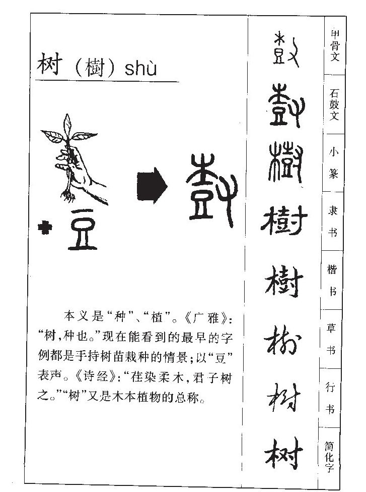 树字字源字典