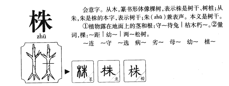 株字字源字典