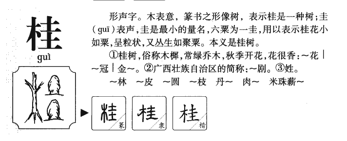 桂字字源字典