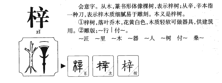 梓字字源字典