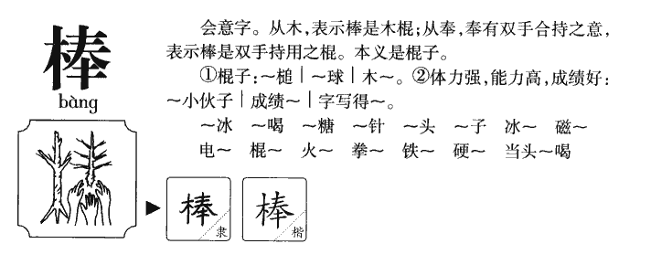 棒字字源字典