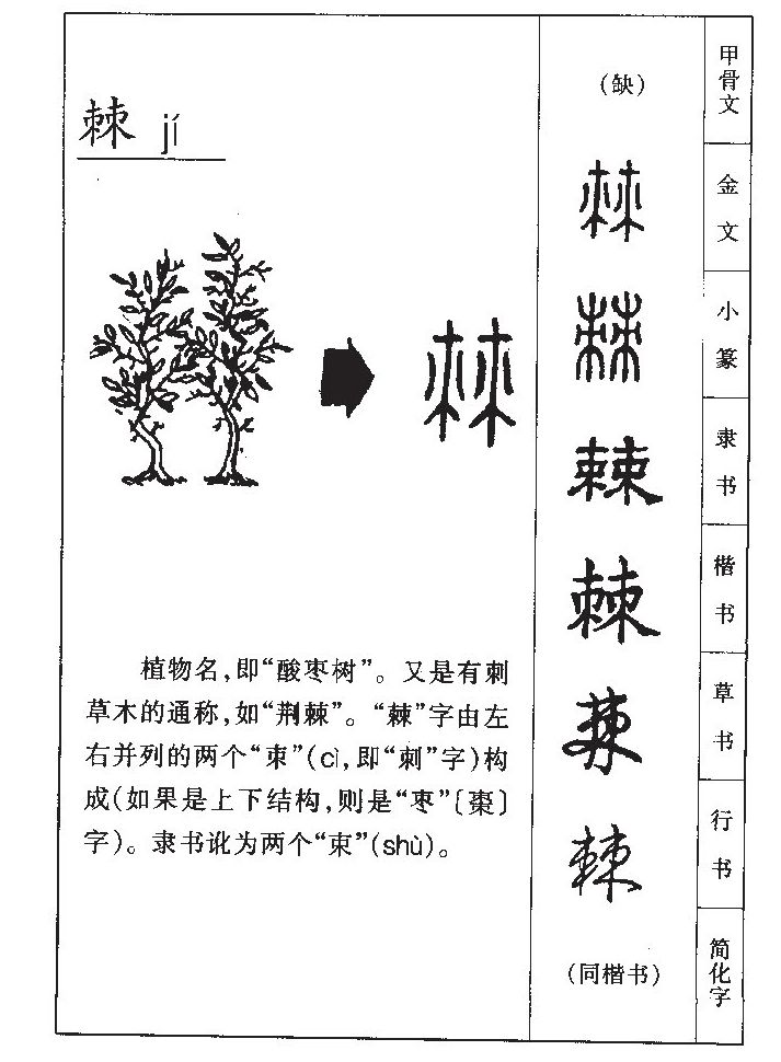 棘字字源字典