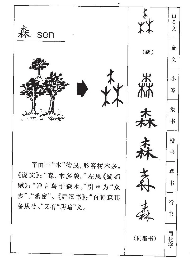 森字字源字典