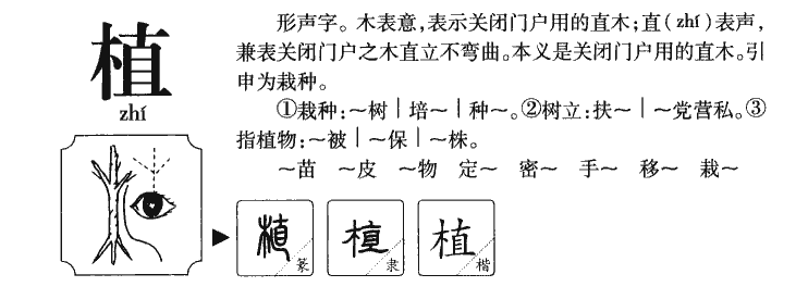 植字字源字典